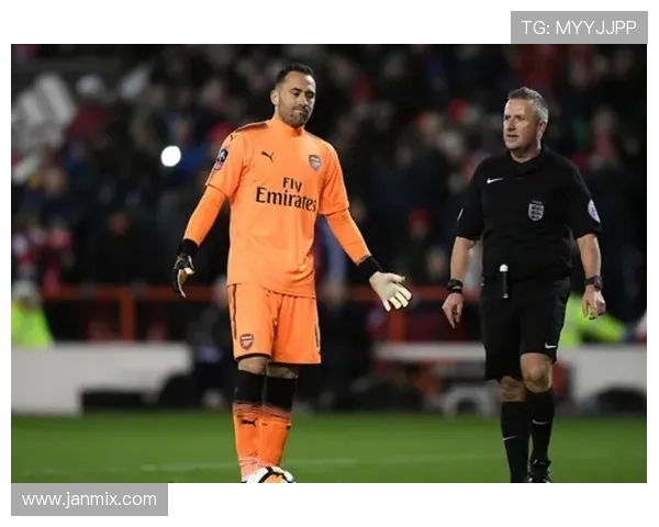 阿森纳计划今夏求购药厂新星科法内